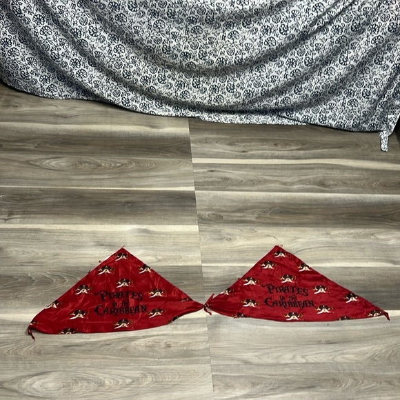 Disney pirates of the Caribbean flag - Picture 1 of 6